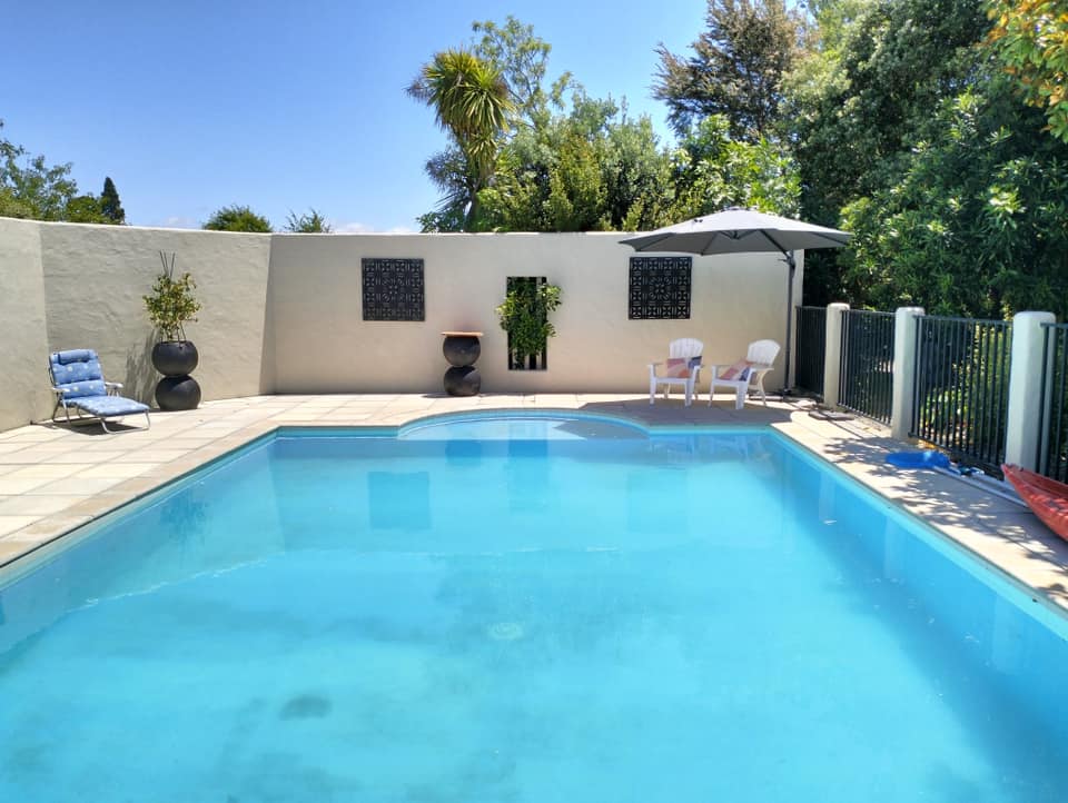 Renovated pool with crisp white render, fresh tiles, and tidy planting around the coping