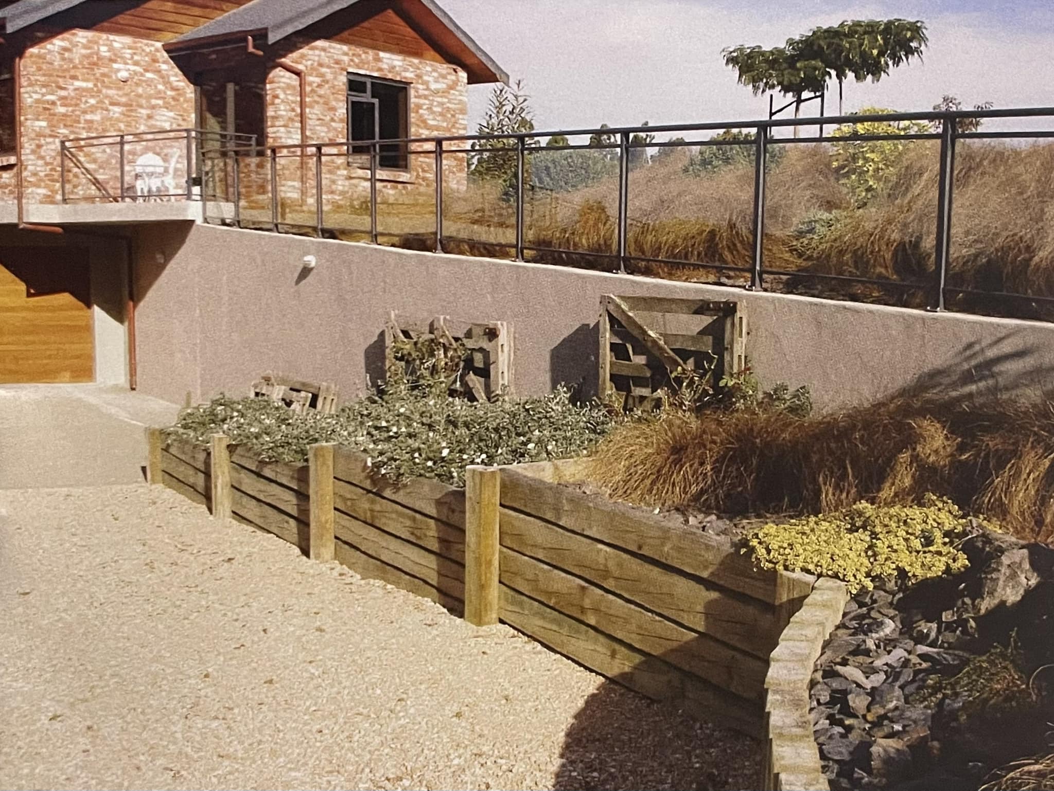 Mature backyard with new paving, structured planting, and outdoor seating