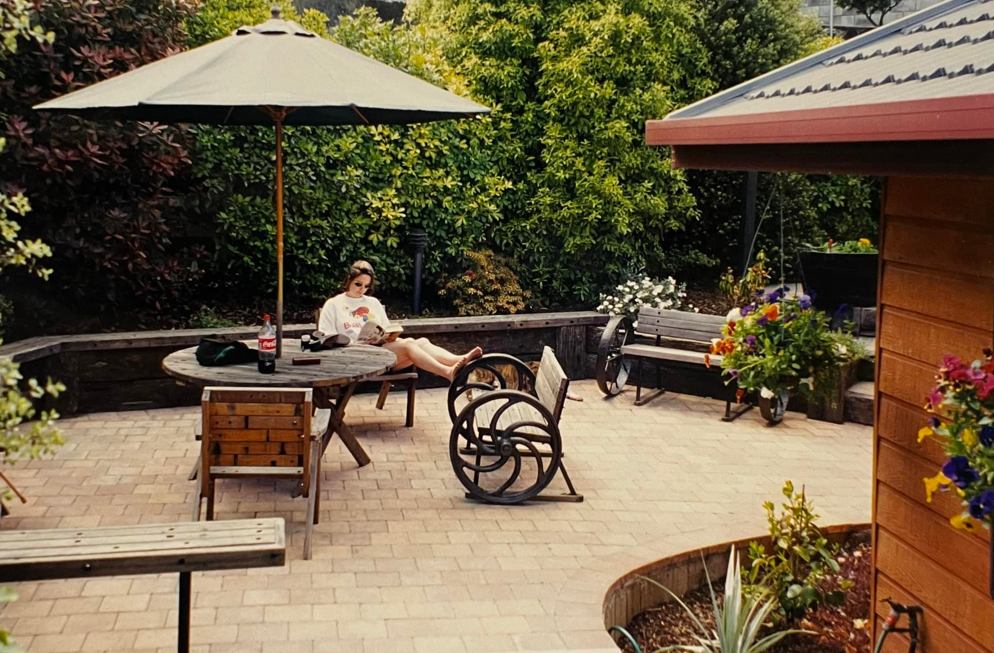 Raised timber deck surrounded by native planting and gravel pathways near the coast